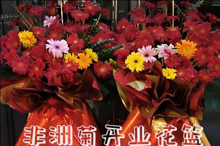 株洲渌口区开业花篮
